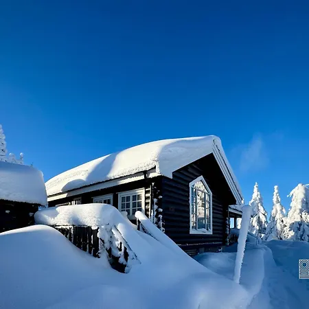 Authentic Mountain Atmosphere At Ringsaker